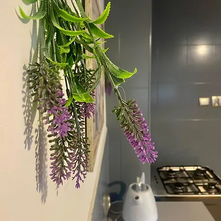 Z Wlasnymi Aneksami Kuchennymi - Zbigniew Lassak Ubytování v soukromí Biały Dunajec