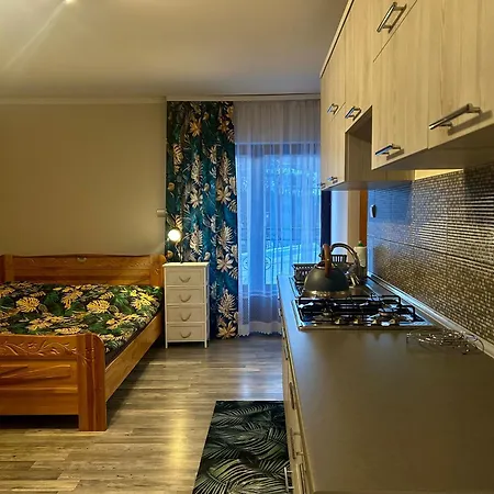 Z Wlasnymi Aneksami Kuchennymi - Zbigniew Lassak Homestay